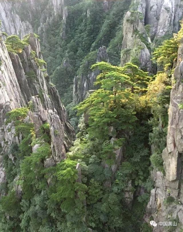 狂人竞速赛无敌版